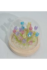 AWG Miscellaneous - Floral Glow Garden Dome – 20 Mix Tulips – LED USB
