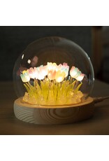 AWG Miscellaneous - Floral Glow Tuinkoepel – 10 Roze Rozen – LED USB