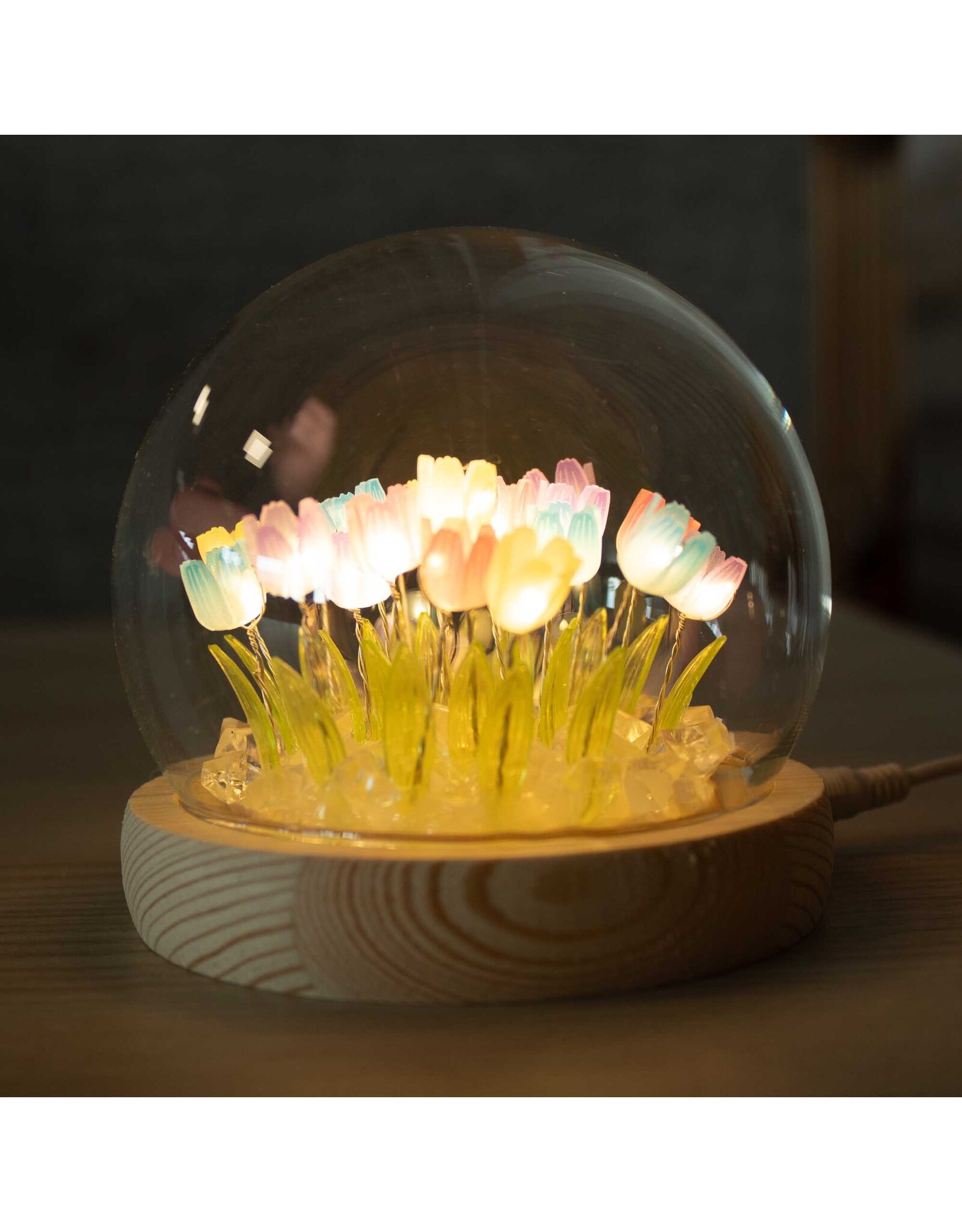 AWG Miscellaneous - Floral Glow Tuinkoepel – 10 Roze Rozen – LED USB