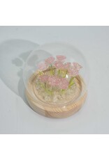 AWG Miscellaneous - Floral Glow Tuinkoepel – 10 Roze Rozen – LED USB