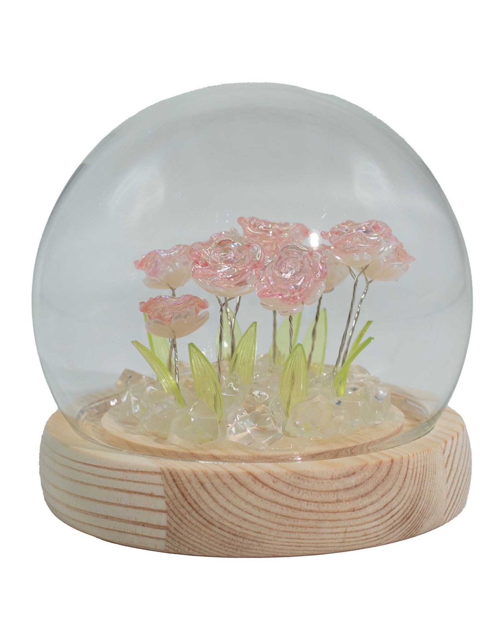 AWG Miscellaneous - Floral Glow Garden Dome – 10 Pink Roses – LED USB