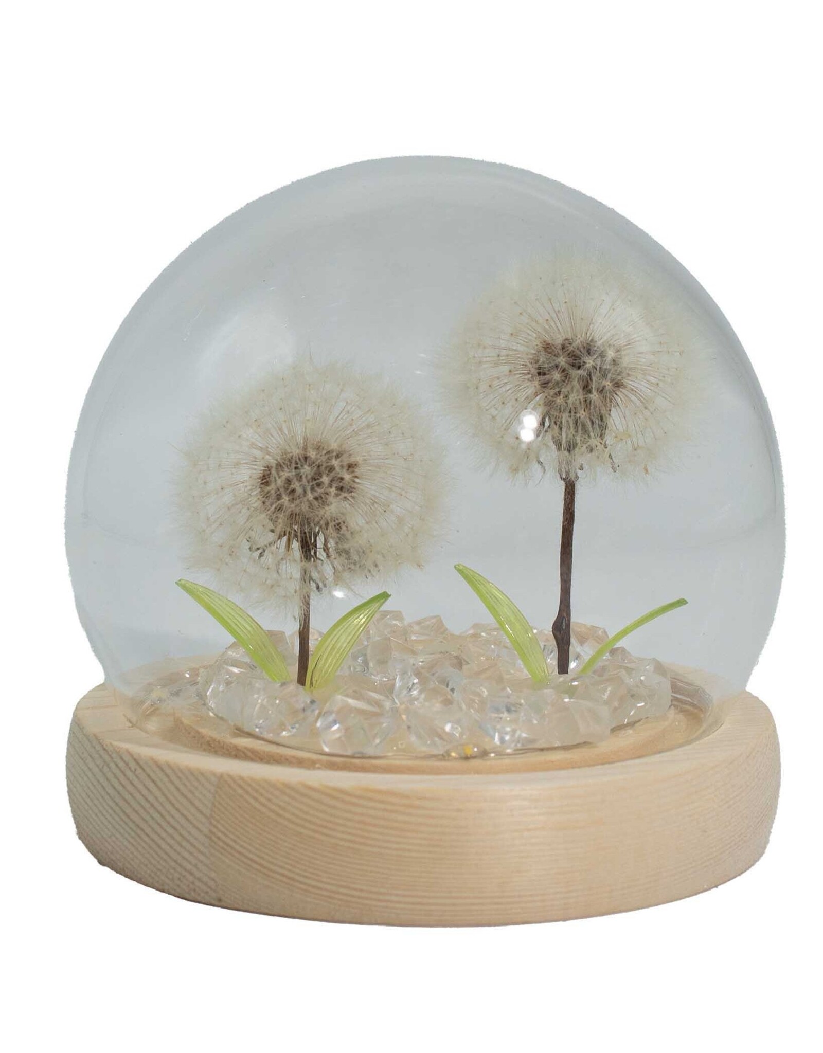 AWG Miscellaneous - Floral Glow Tuinkoepel – 2 Paardenbloemen – LED USB