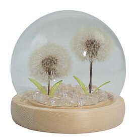 AWG Floral Glow Garden Dome – 2 Dandelions – LED USB