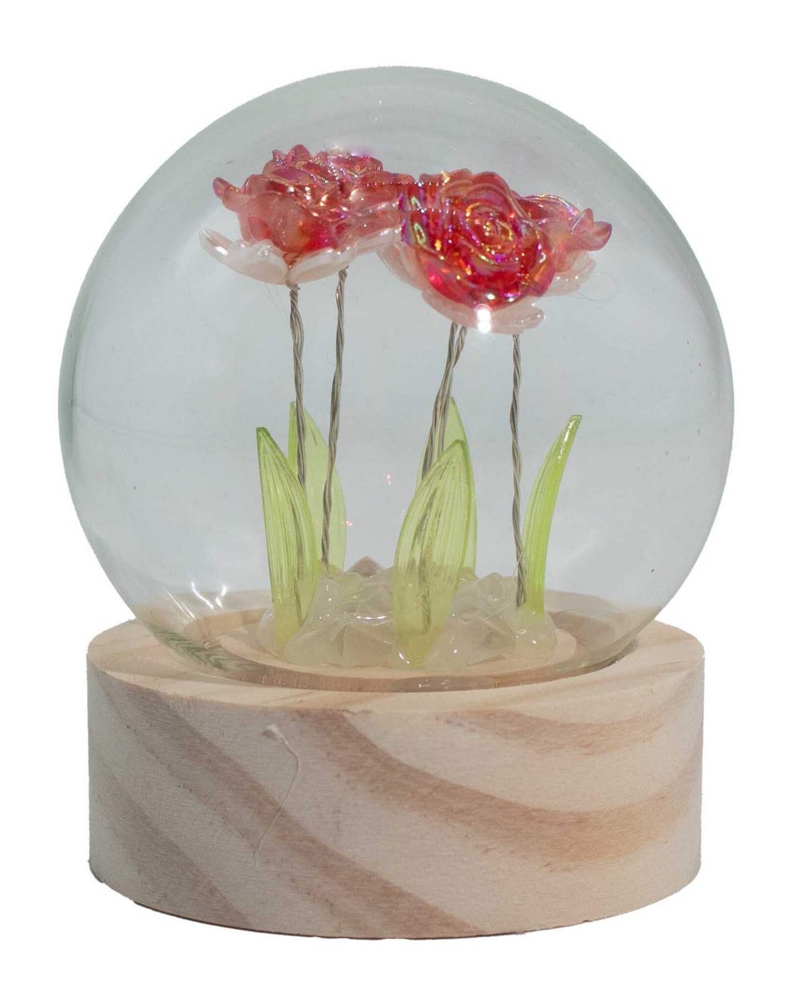 AWG Miscellaneous - Floral Glow Garden Dome – 5 Red Roses – LED