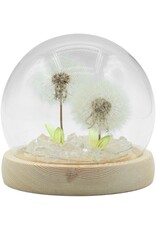 AWG Miscellaneous - Floral Glow Tuinkoepel – 2 Paardenbloemen – LED USB