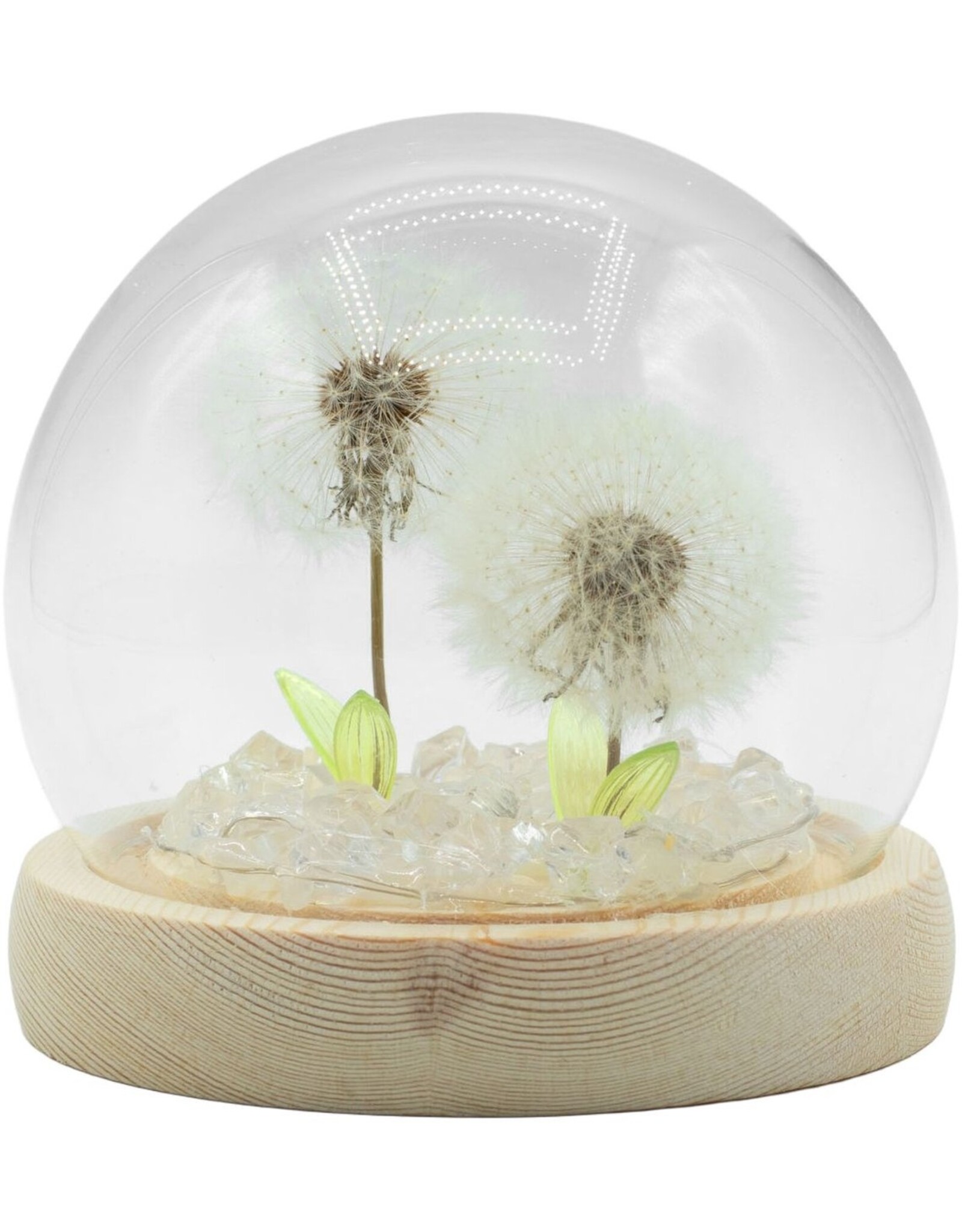 AWG Miscellaneous - Floral Glow Tuinkoepel – 2 Paardenbloemen – LED USB