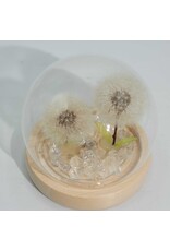 AWG Miscellaneous - Floral Glow Tuinkoepel – 2 Paardenbloemen – LED USB