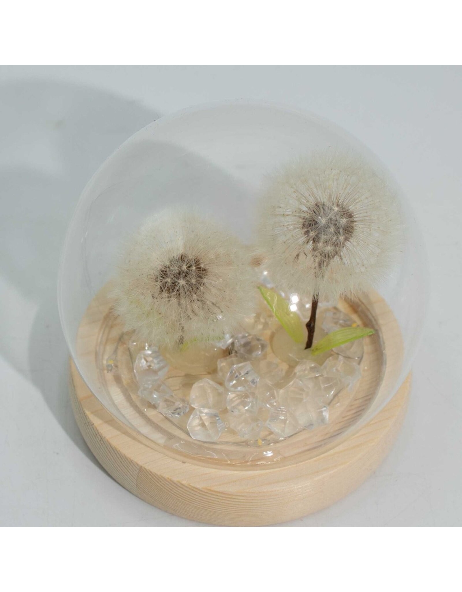 AWG Miscellaneous - Floral Glow Garden Dome – 2 Dandelions – LED USB