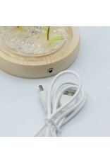 AWG Miscellaneous - Floral Glow Tuinkoepel – 2 Paardenbloemen – LED USB