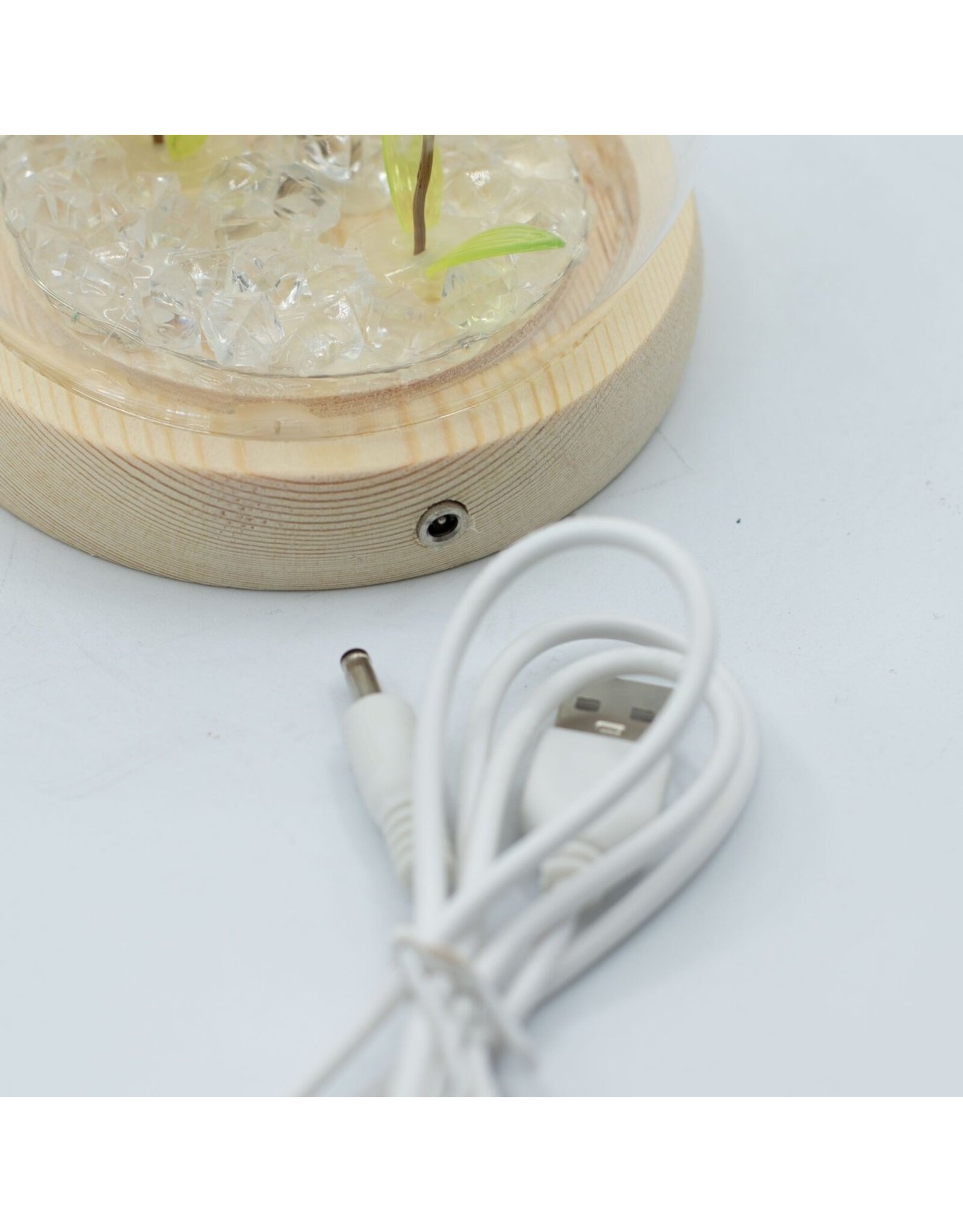 AWG Miscellaneous - Floral Glow Garden Dome – 2 Dandelions – LED USB