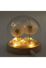 AWG Miscellaneous - Floral Glow Garden Dome – 2 Dandelions – LED USB