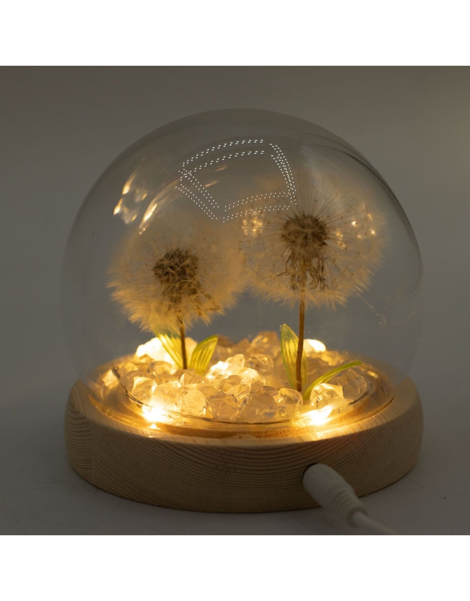 AWG Miscellaneous - Floral Glow Tuinkoepel – 2 Paardenbloemen – LED USB