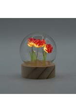 AWG Miscellaneous - Floral Glow Tuinkoepel – 5 Rode Rozen – LED