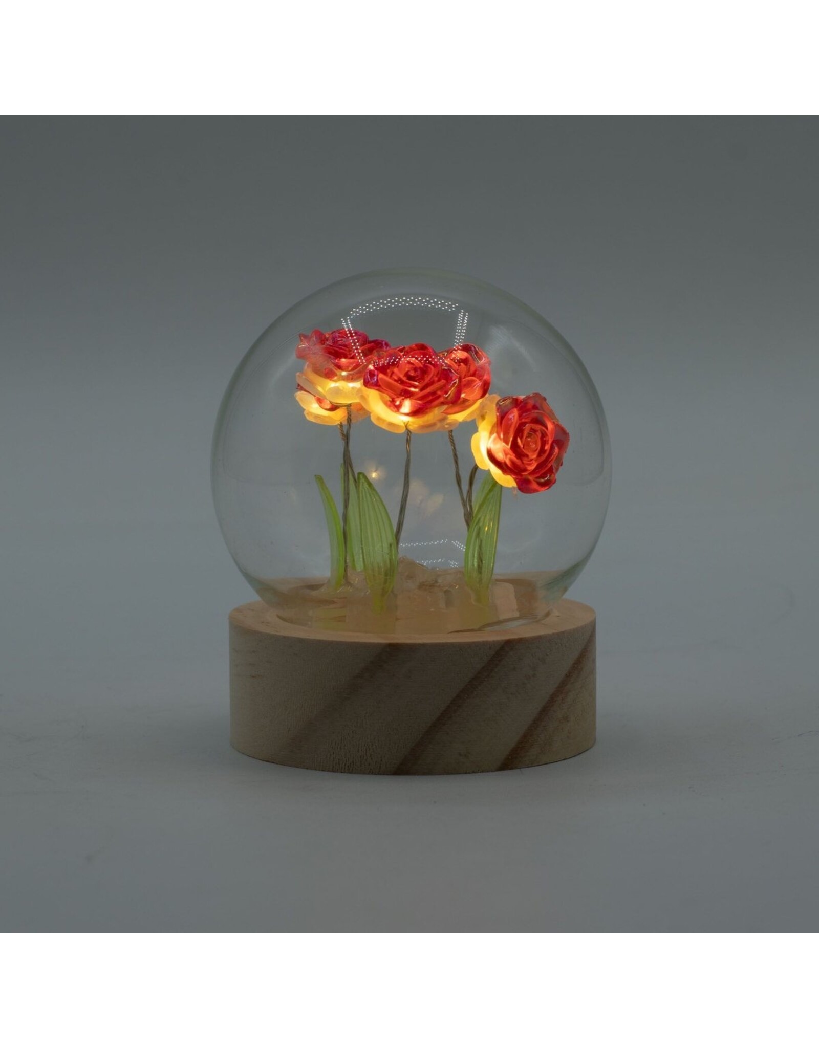 AWG Miscellaneous - Floral Glow Garden Dome – 5 Red Roses – LED