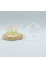 AWG Miscellaneous - Floral Glow Garden Dome – 10 Pink Roses – LED USB