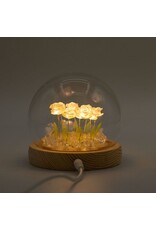 AWG Miscellaneous - Floral Glow Tuinkoepel – 10 Roze Rozen – LED USB