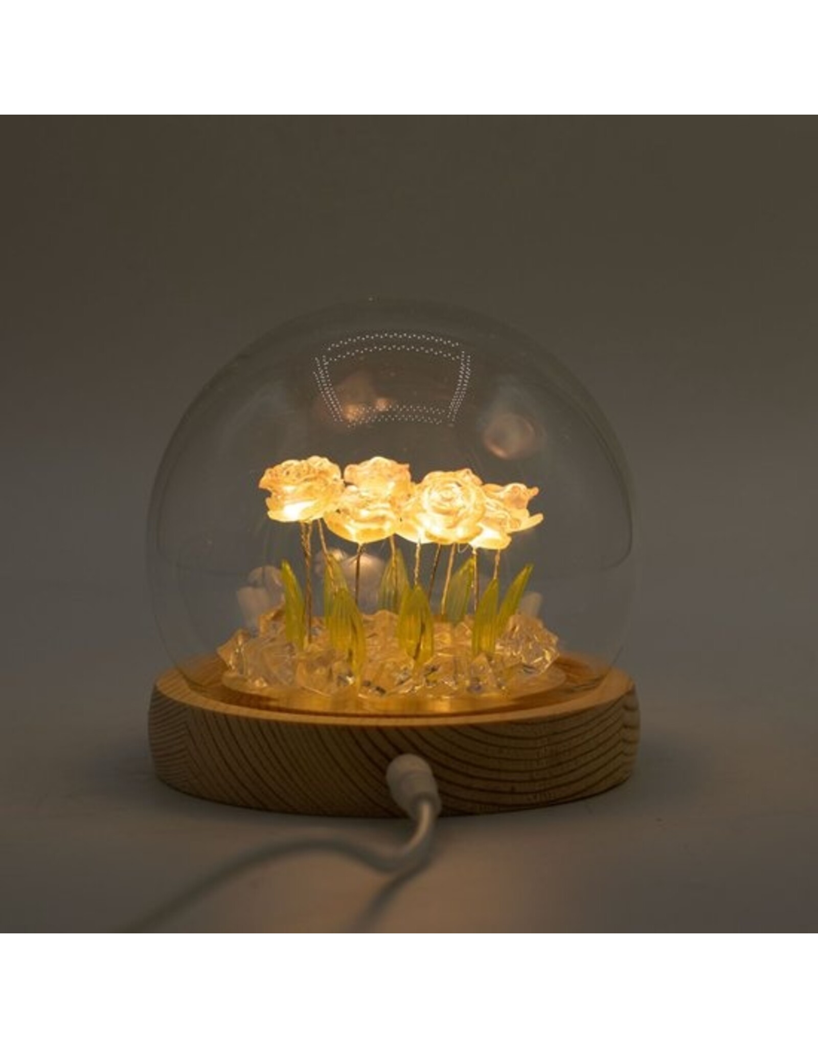 AWG Miscellaneous - Floral Glow Garden Dome – 10 Pink Roses – LED USB