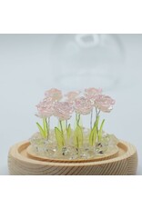 AWG Miscellaneous - Floral Glow Garden Dome – 10 Pink Roses – LED USB