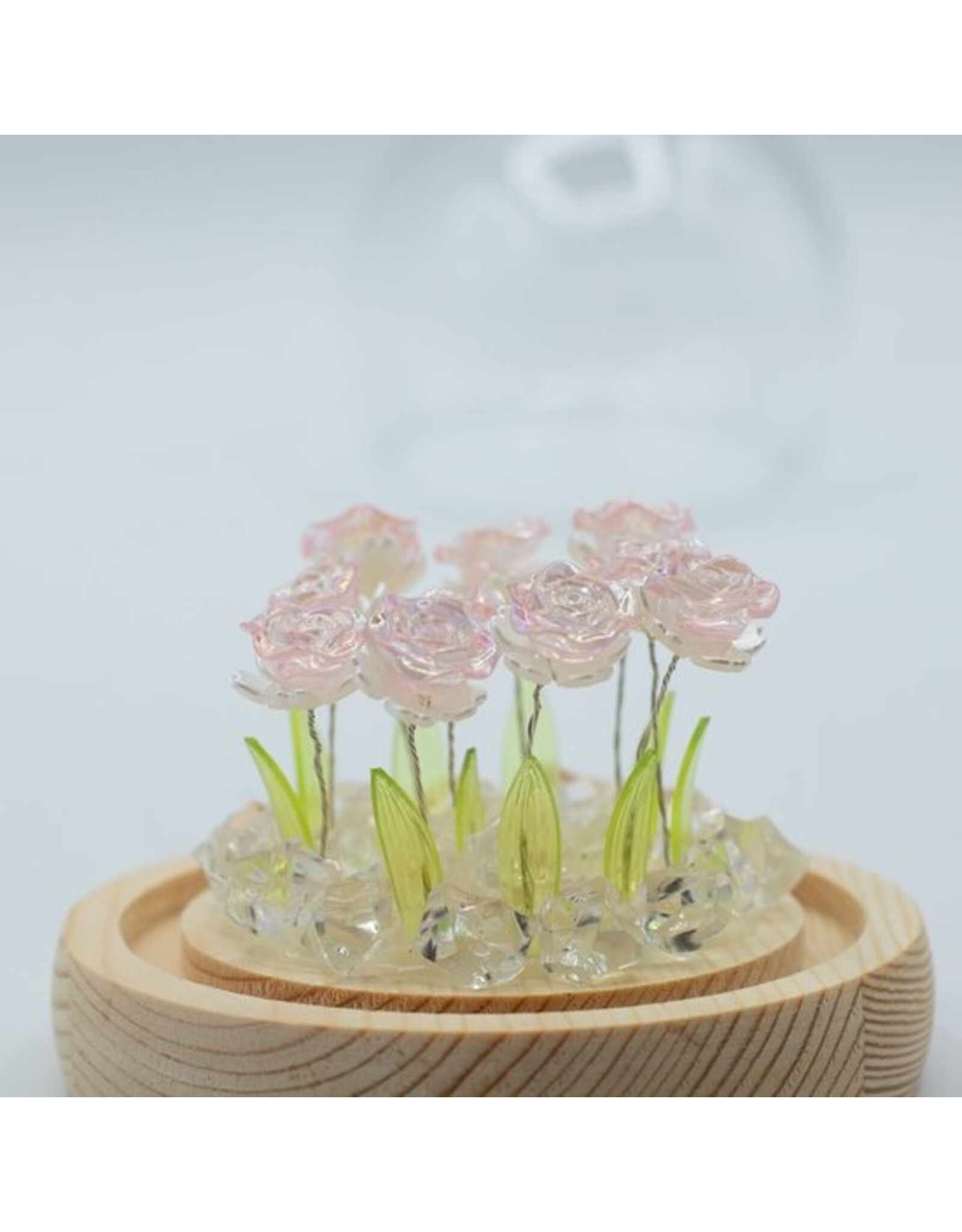 AWG Miscellaneous - Floral Glow Tuinkoepel – 10 Roze Rozen – LED USB