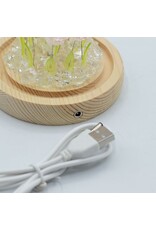 AWG Miscellaneous - Floral Glow Tuinkoepel – 10 Roze Rozen – LED USB