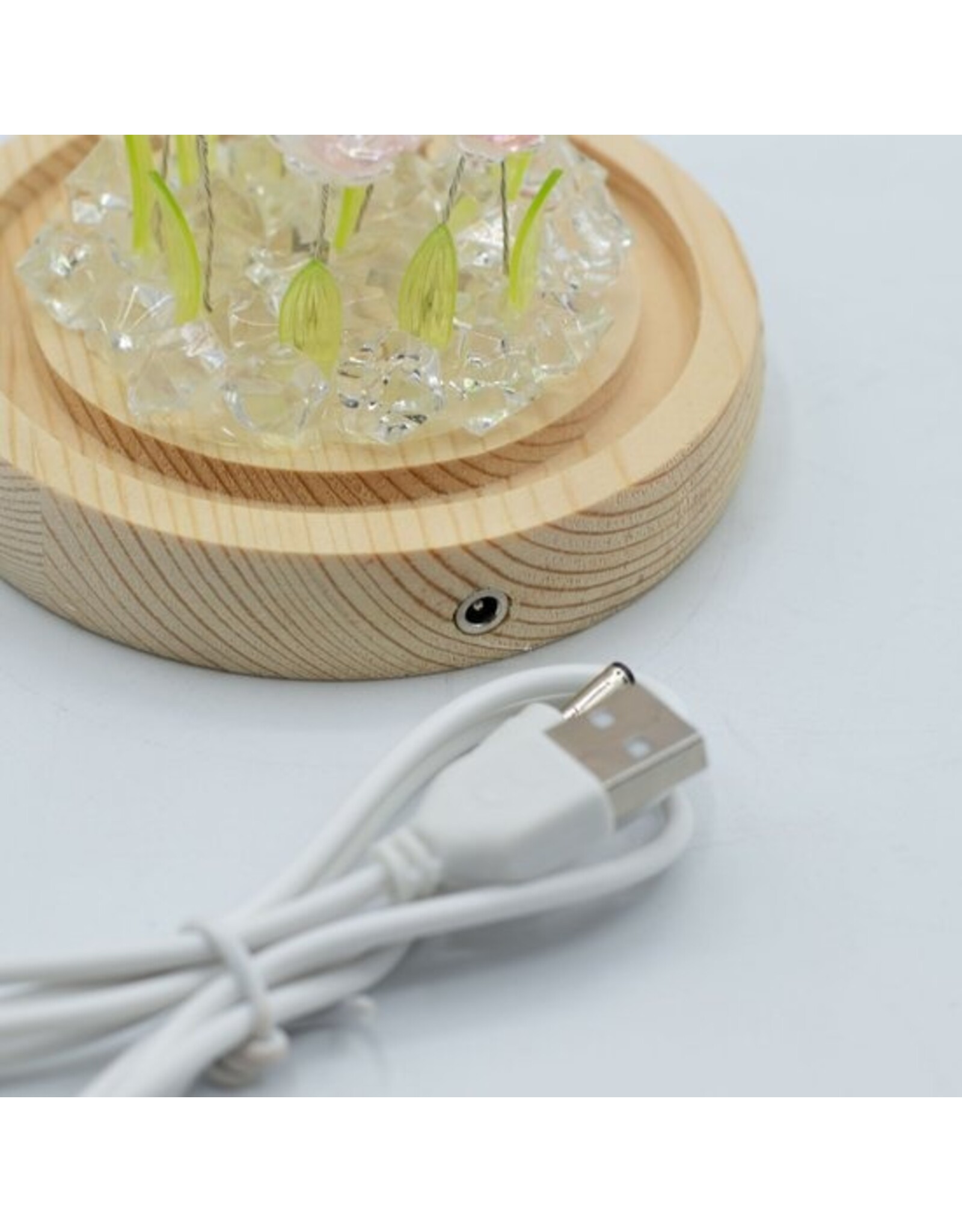 AWG Miscellaneous - Floral Glow Garden Dome – 10 Pink Roses – LED USB