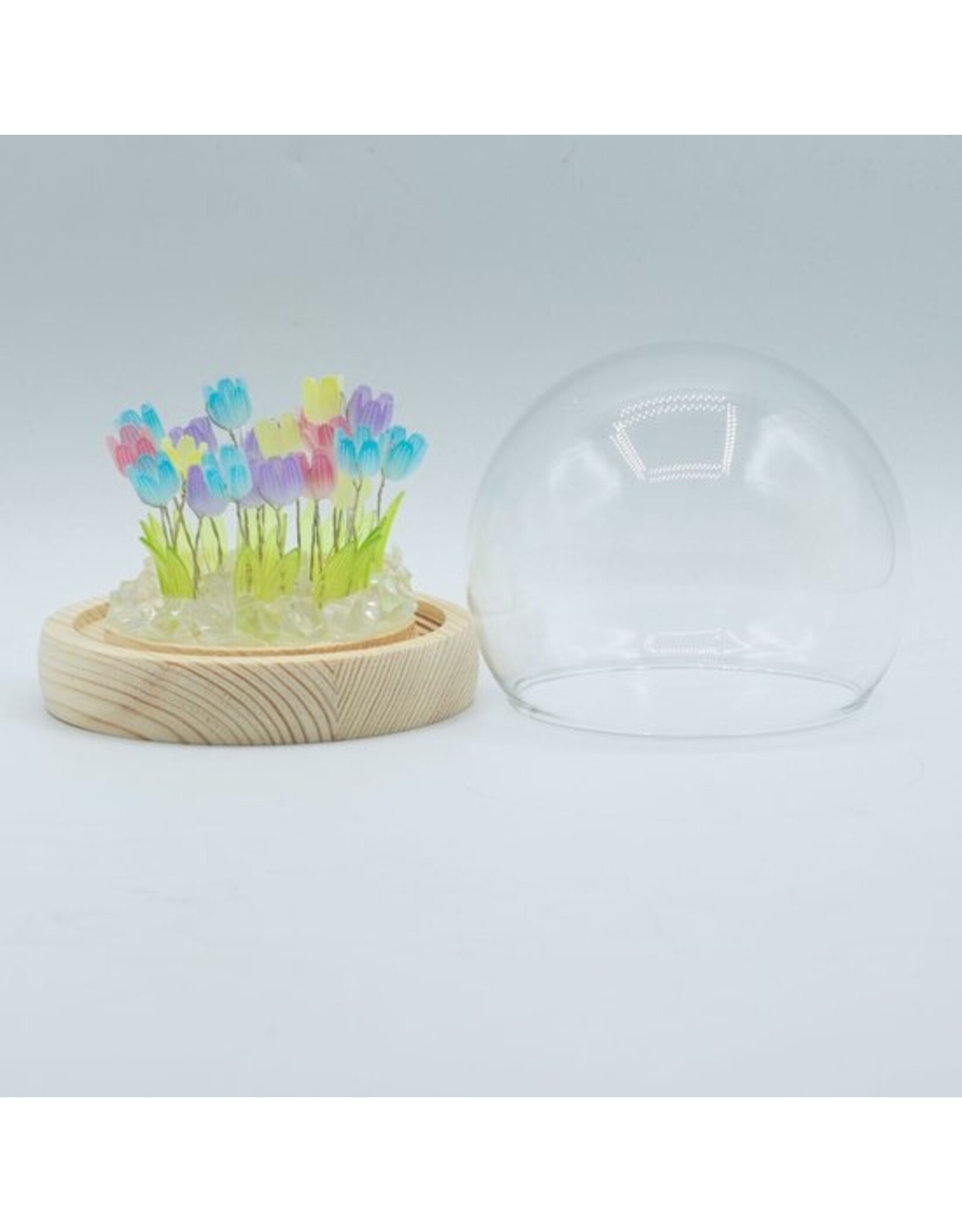 AWG Miscellaneous - Floral Glow Tuinkoepel – 20 Mix Tulpen – LED USB