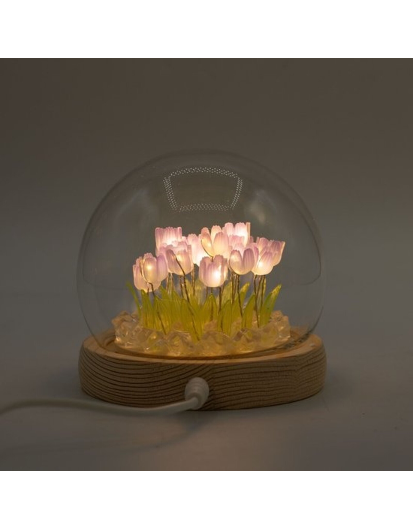 AWG Miscellaneous - Floral Glow Tuinkoepel – 20 Lila Tulpen – LED USB