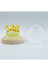 AWG Miscellaneous - Floral Glow Garden Dome – 20 Sunflowers – LED USB