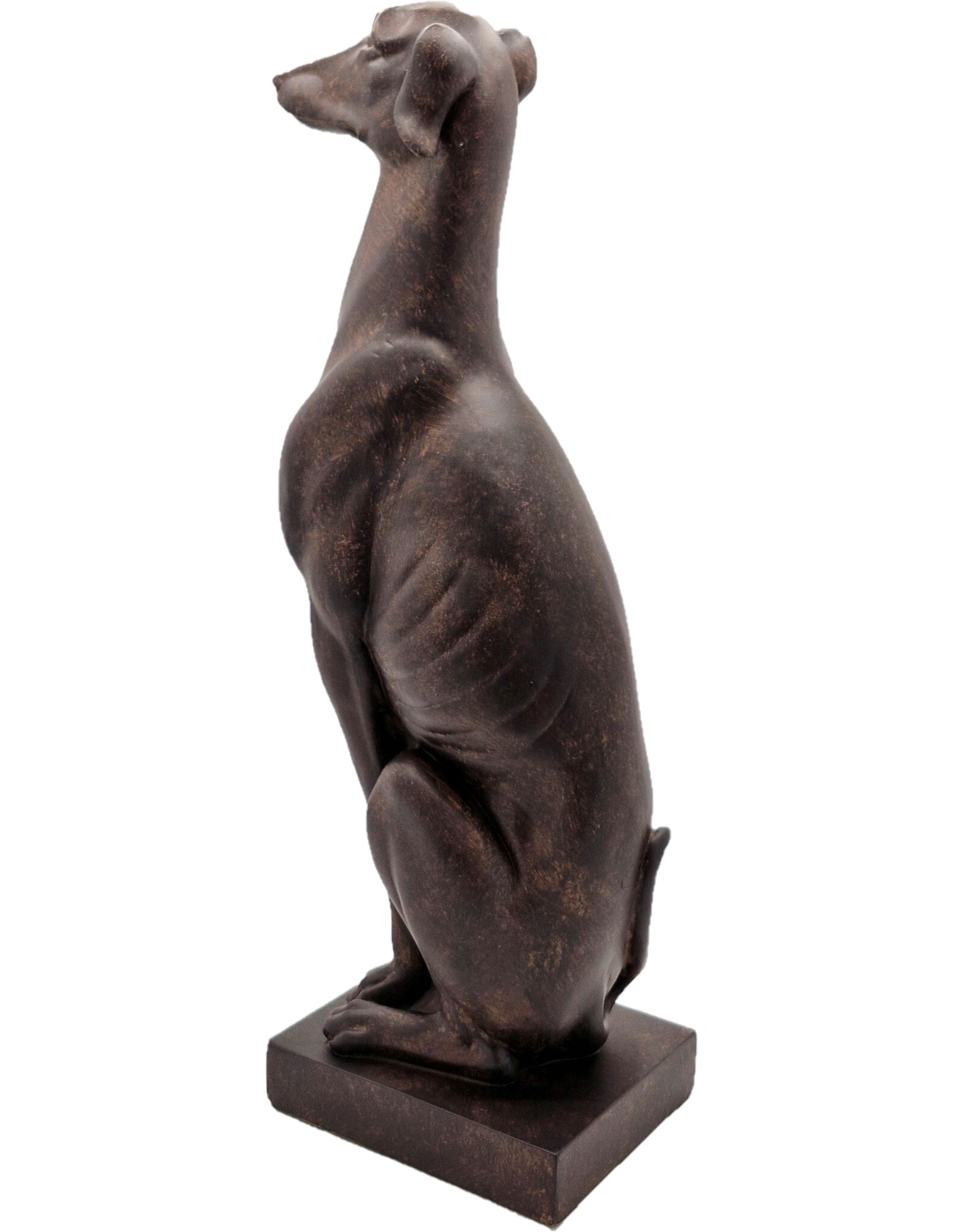 Trukado Giftware & Lifestyle - Whippet Hond Beeld 54cm