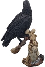 JB Giftware Beelden Collectables  - Gothic beeldje Kraai met Schedels op een Zeis
