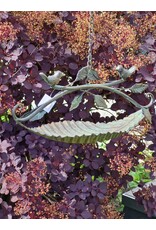 SH Miscellaneous - Bird Bath / Feeding Bowl - Leaf with Birds