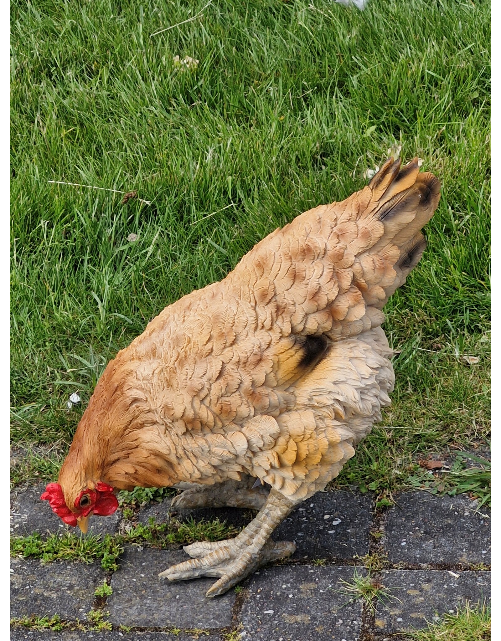 JB Giftware Figurines Collectables - Chicken figurine – highly realistic