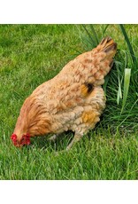 JB Giftware Figurines Collectables - Chicken figurine – highly realistic