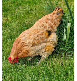JB Chicken figurine – highly realistic