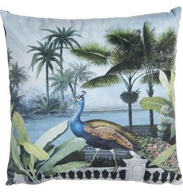 C&E Peacock Decorative Cushion 45 x 45 cm