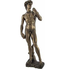 Veronese Design David (Michelangelo)  - Veronese Design
