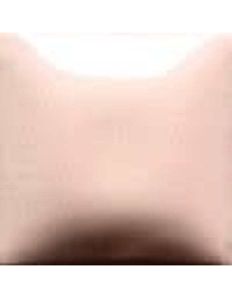 MAYCO FN 047 LIGHT PINK 473ML