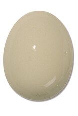 TERRACOLOR TCP210 transparant glans 1020°-1080°C 1 kg