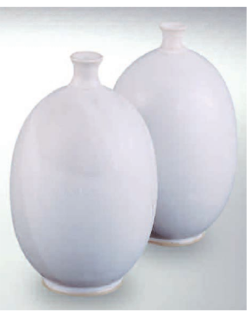TERRACOLOR 607 wit mat 1220°-1260°C 1 kg