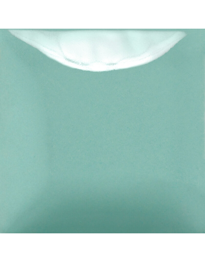 MAYCO SC101 spruce it up  236 ml