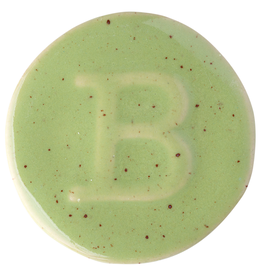 BOTZ 9319  PRO peridot 200 ml