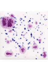 MAYCO CG1011 Frosted Berries 118 ml