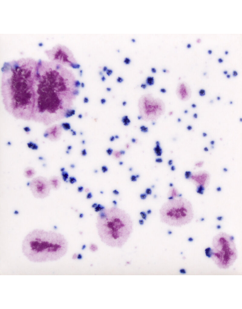 MAYCO CG1011 Frosted Berries 118 ml