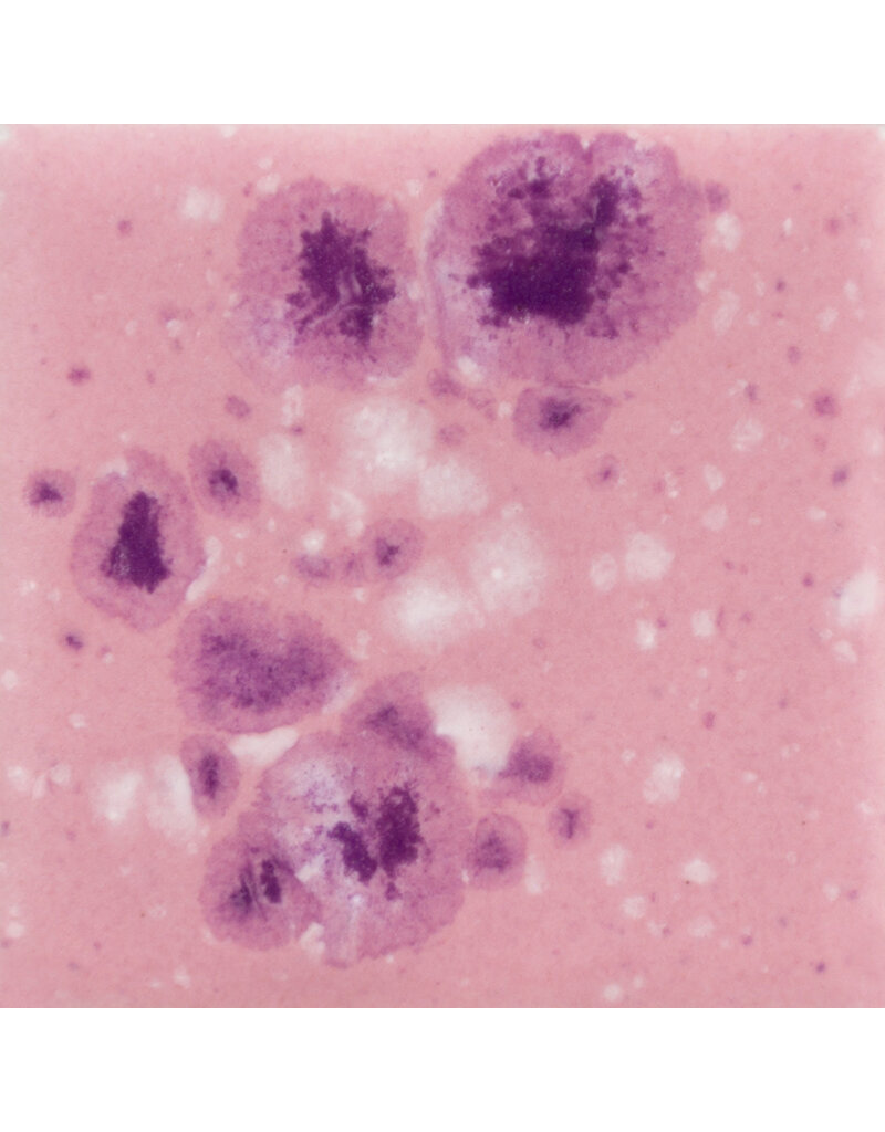 MAYCO CG1014 Pink plum 118 ml