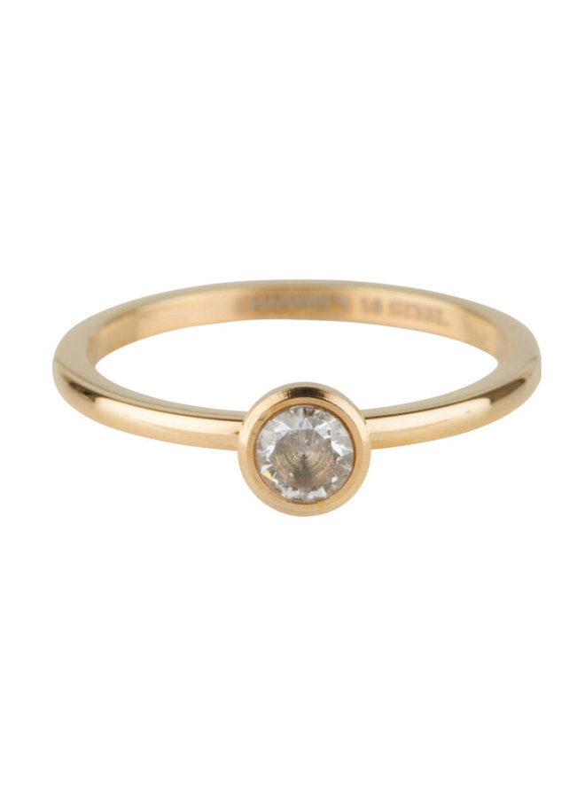 Ring Stylisch Bright  goud Steel R489