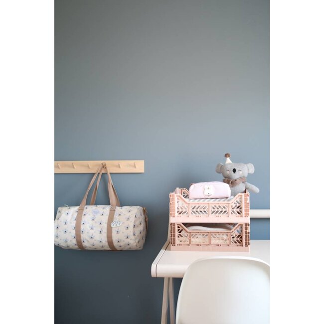 Ay-Kasa krat medium - Salmon