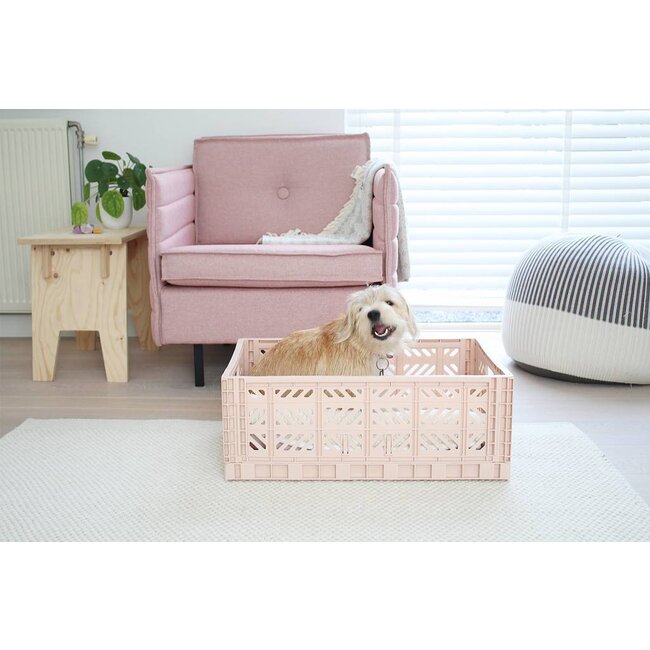 Ay-Kasa krat medium - Salmon