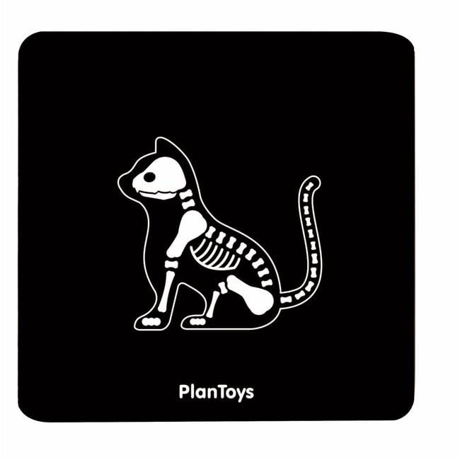 Plan Toys Dierenartsset