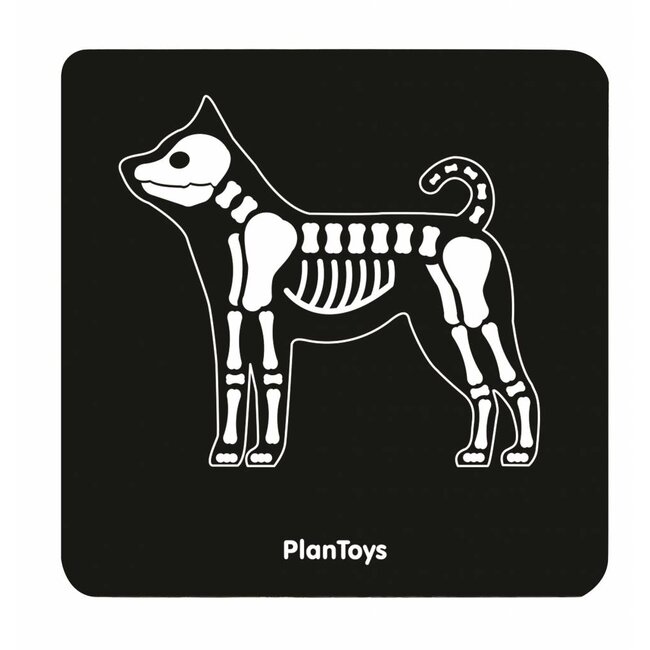 Plan Toys Dierenartsset