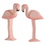 Ostheimer Flamingo